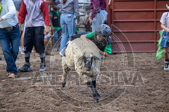 24_July_25_Eagle_CO_028