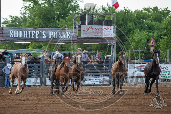 06_12_19_Cleburne_005_Silva