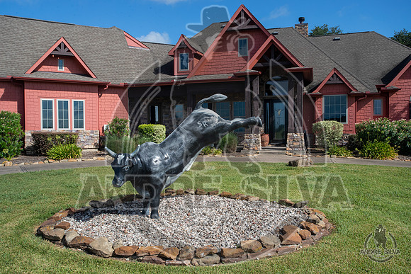 2020_July_18_ABBI_016