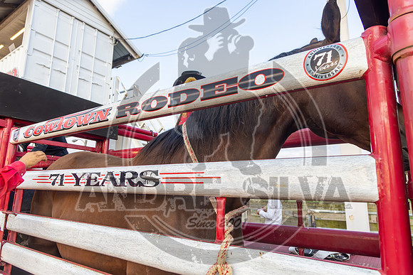 2025_August_02_Cowtown_Rodeo_434