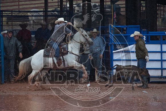 2023_July_01_Stamford_3049