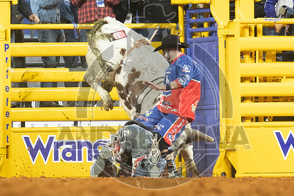 2020_Dez_06_WNFR_Bull_Riding_Boudreaux Campbell_486