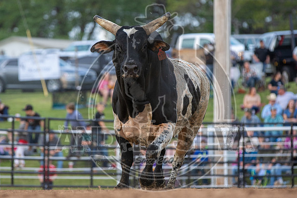 2021_May_08_PBR_Cassvile_TX_413