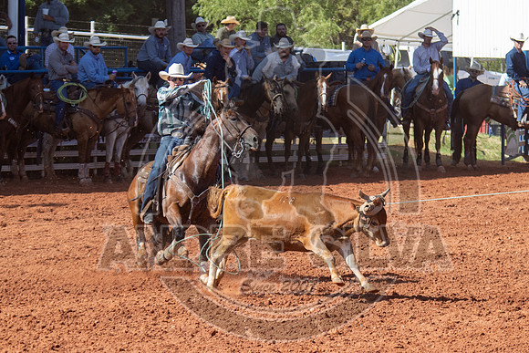 2024_July_02_Team_Roping_118