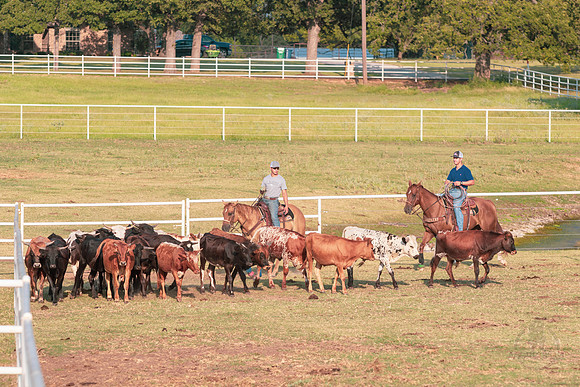 08_05_19_Vieira_Ranch_016_Silva