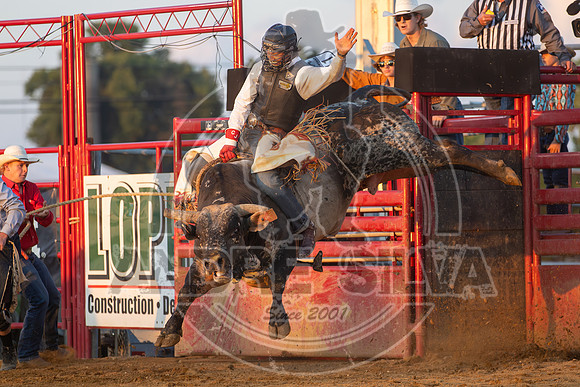 2024 Cowtown Rodeo_R1_XTREME BULLS_Cooper James_Sippin Sauce__AndreSilva_290
