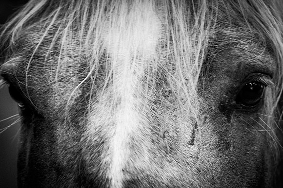 2020_July_25_PatyCowgirl_001