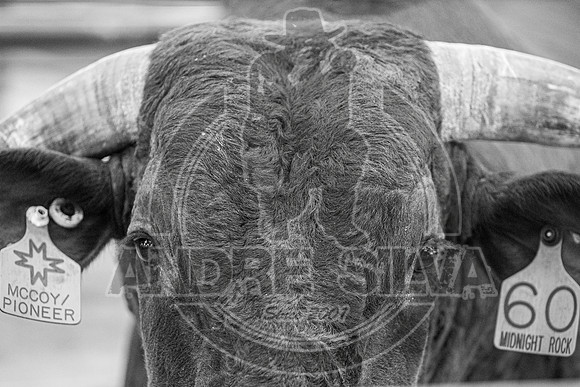 2020_Aug_29_ABBI_040