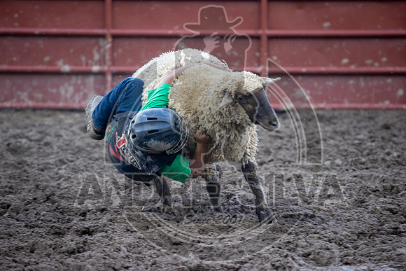 2024 Eagle_Mutton busting_2444-AndreSilva