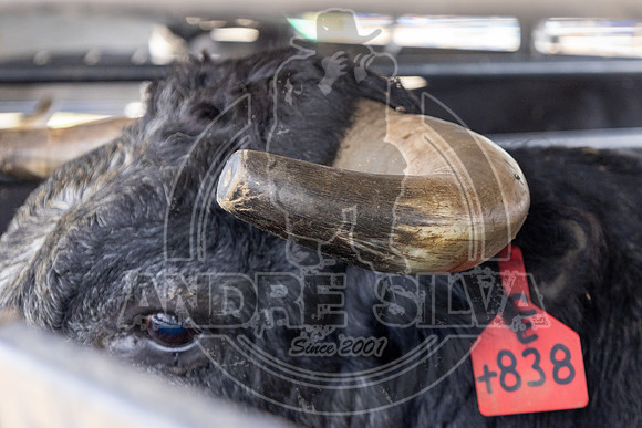 2023_Aug_02_UBF_010