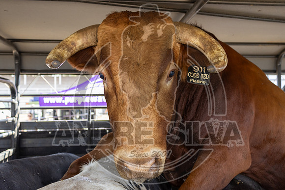2023_Aug_02_UBF_020