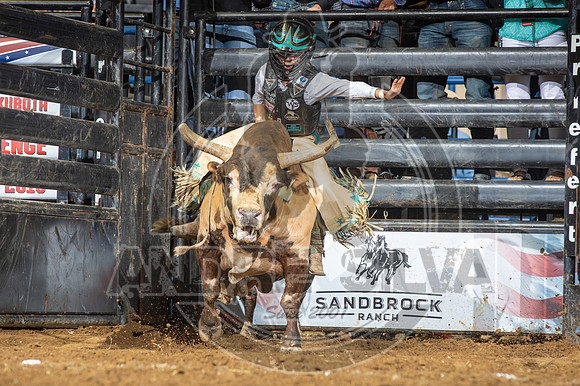 08_03_19_Allen_TX_PBR_335_Silva