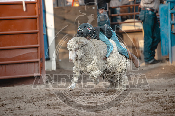 24_July_24_Eagle_CO_089