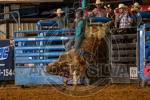 2020_06_06_Mesquite_BullRiding_Trace Brown_395_Silva