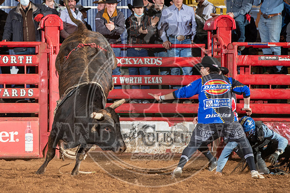 2021_Jan_02_ABBI_576