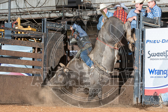 2020_July_18_ABBI_114