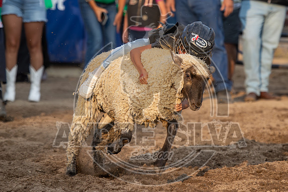 24_July_24_Eagle_CO_101