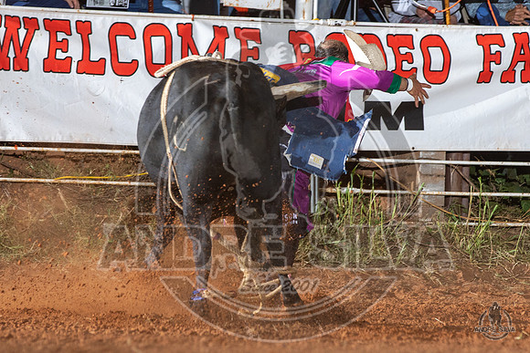 2020_Aug_08_Bridgeport_TX_113