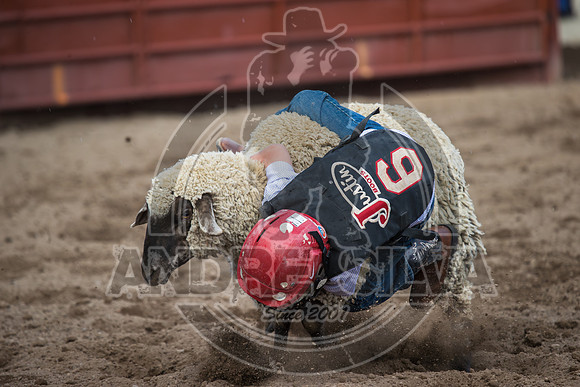 24_July_24_Eagle_CO_094
