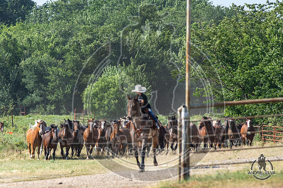 06_14_19_Cleburne__232_Silva