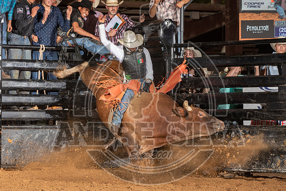 2020_Aug_29_ABBI_120