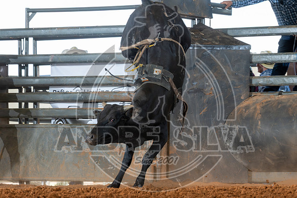 2025_May_24_Erick_OK_148