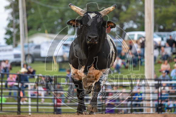 2021_May_08_PBR_Cassvile_TX_414