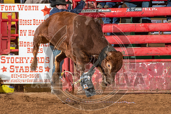 2021_Jan_02_ABBI_419
