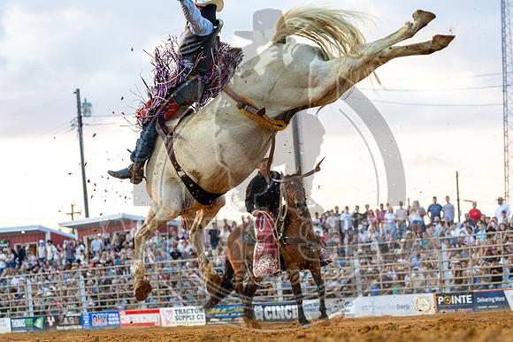 2025_CowtownRodeo_Pilesgrove_NJ_BB_Jason Wilson_144