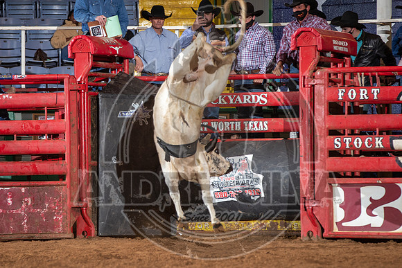 2021_Jan_01_ABBI_152