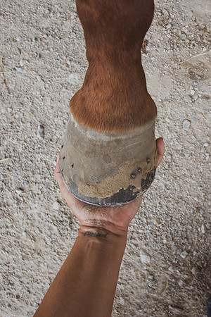 2020_July_25_PatyCowgirl_126