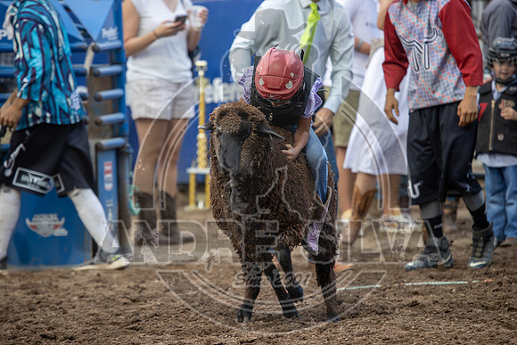 24_July_25_Eagle_CO_033