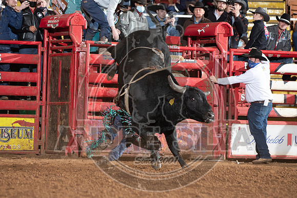 2021_Jan_01_ABBI_101