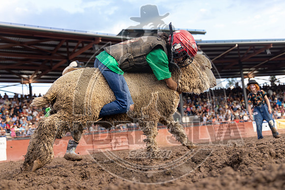 2024 Eagle_Mutton Busting__2590-AndreSilva