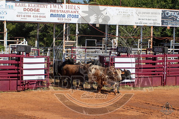 2020_Aug_08_Bridgeport_TX_009