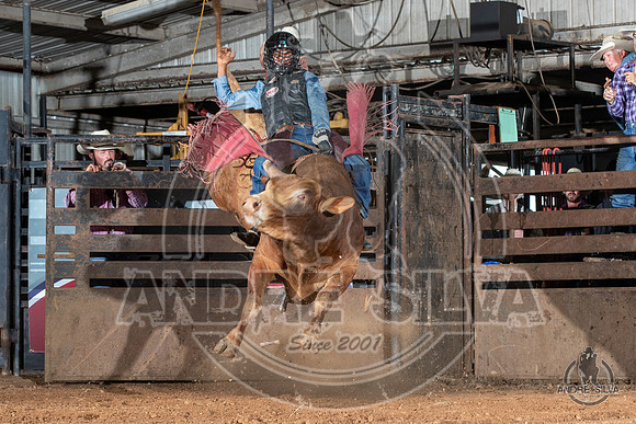 2020_July_18_ABBI_117