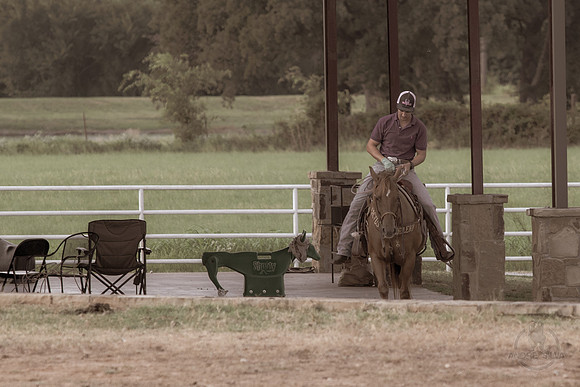 08_05_19_Vieira_Ranch_003_Silva