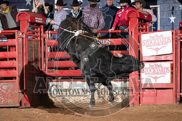 2021_Jan_01_ABBI_149
