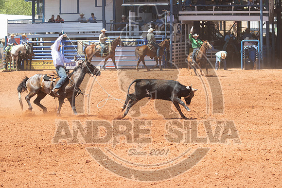 2024_July_02_Team_Roping_314