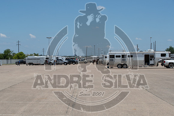 2020_06_06_Mesquite_002_Silva