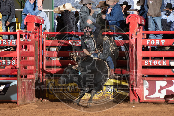 2021_Jan_01_ABBI_193