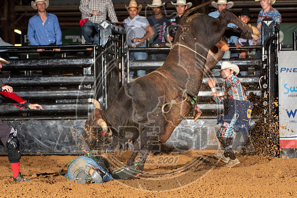 2020_Aug_29_ABBI_138