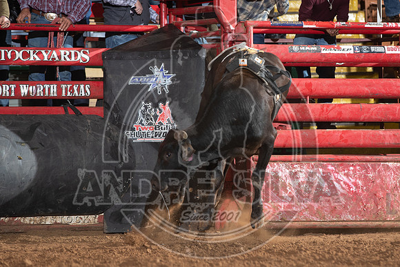 2021_Jan_01_ABBI_165