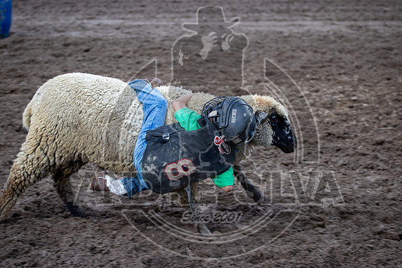 2024 Eagle_Mutton busting_2440-AndreSilva