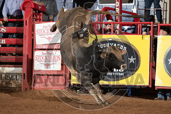 2021_Jan_01_ABBI_139