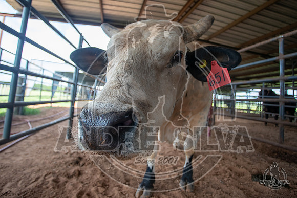 2020_July_18_ABBI_038