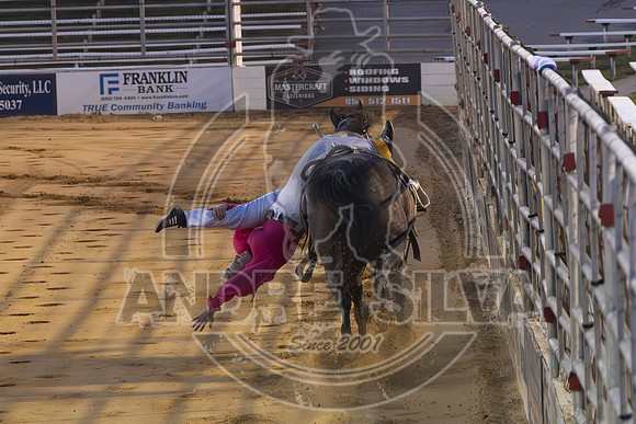 2024 Cowtown Rodeo_R2_R3_XTREME BULLS_AndreSilva_636