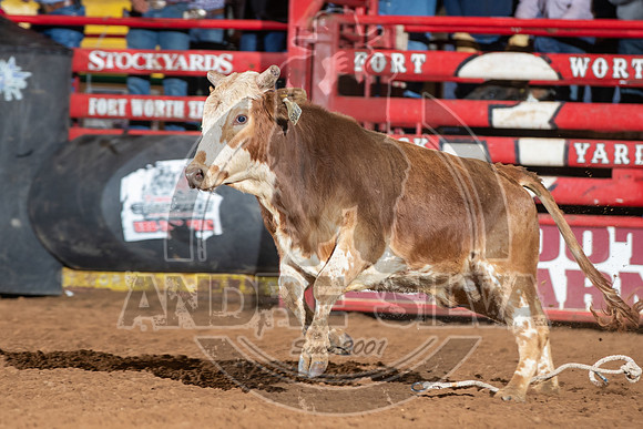 2021_Jan_01_ABBI_130