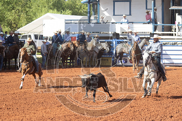 2024_July_02_Team_Roping_027
