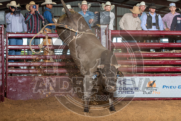 20_May_09_ABBI_184